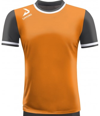 Koszulka Piłkarska Delta