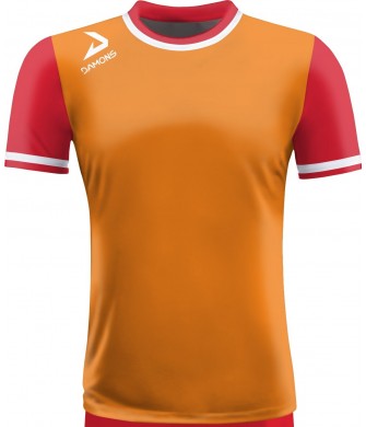 Koszulka Piłkarska Delta