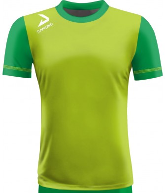 Koszulka Piłkarska Beta Junior