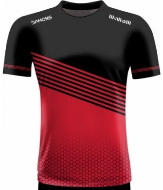 Koszulka Piłkarska Alfa P10