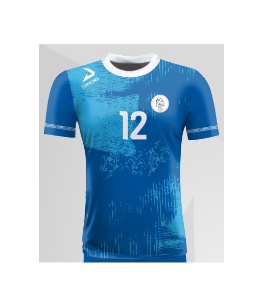 koszulka siatkarska męska omega 10 senior chabrowa, sublimacja, szybkoschnąca na halę