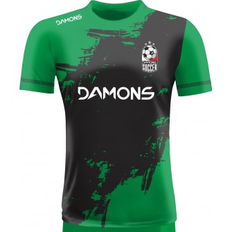 Koszulka Piłkarska Alfa P37