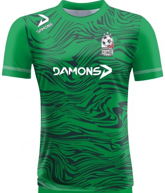 Koszulka Piłkarska Alfa P41