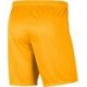Spodenki sportowe męskie Nike Dri-FIT Park III żółte