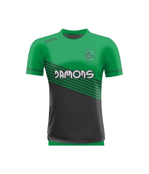 Koszulka Piłkarska Alfa P10