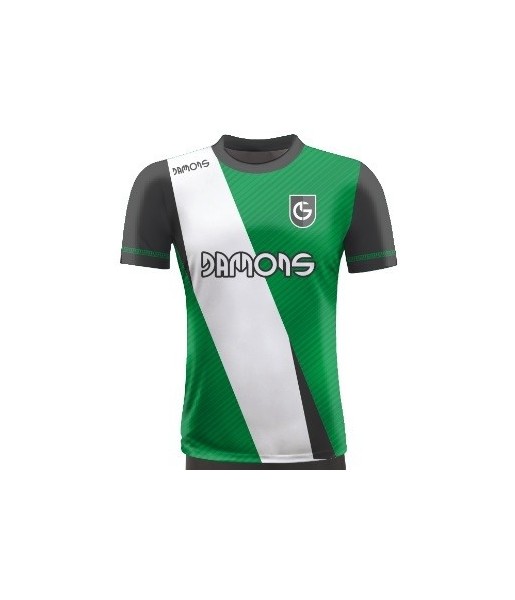 Koszulka Piłkarska Alfa P12