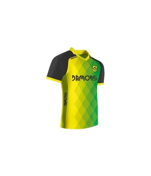 Koszulka Sportowa Feniks C1