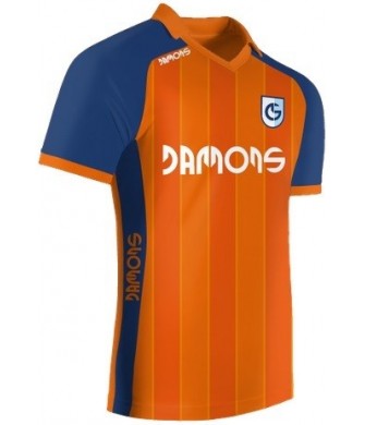 Koszulka Sportowa Feniks C3