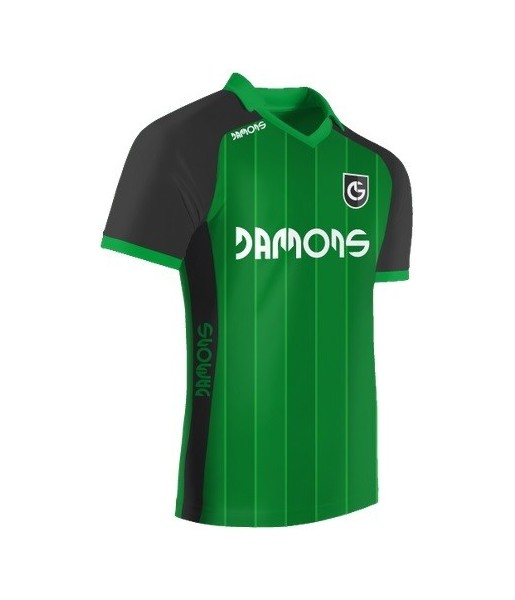 Koszulka Sportowa Feniks C3