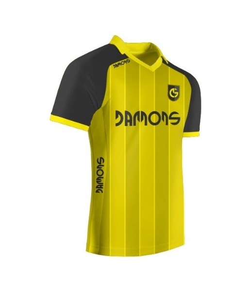 Koszulka Sportowa Feniks C3