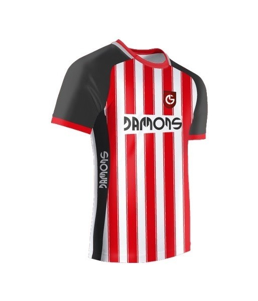 Koszulka Sportowa Feniks R1