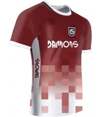 Koszulka Sportowa Feniks R2