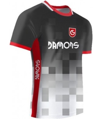 Koszulka Sportowa Feniks R2