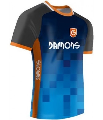 Koszulka Sportowa Feniks R2