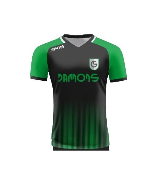 Koszulka Sportowa Feniks V5