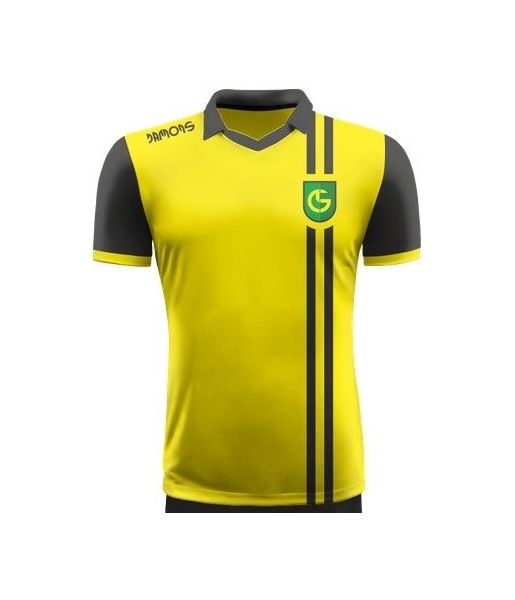 Koszulka Sportowa Warrior C1