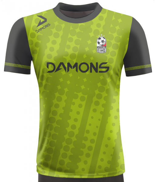 KOSZULKA PIŁKARSKA ALFA P19