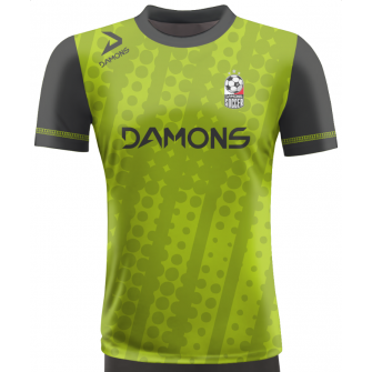 KOSZULKA PIŁKARSKA ALFA P19