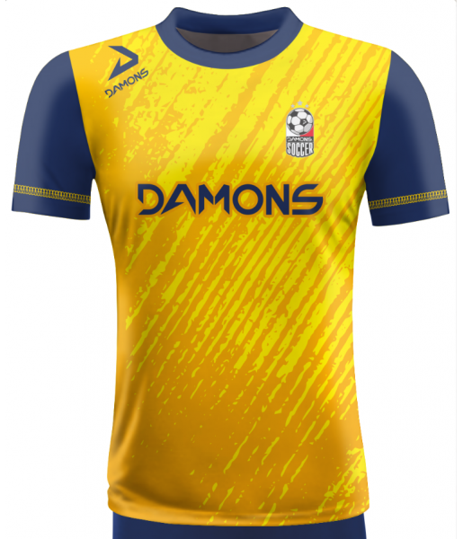 KOSZULKA PIŁKARSKA ALFA P20