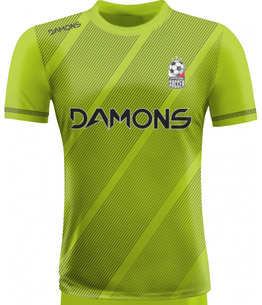 KOSZULKA PIŁKARSKA ALFA P25