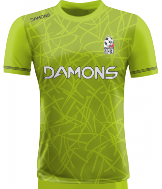 KOSZULKA PIŁKARSKA ALFA P28