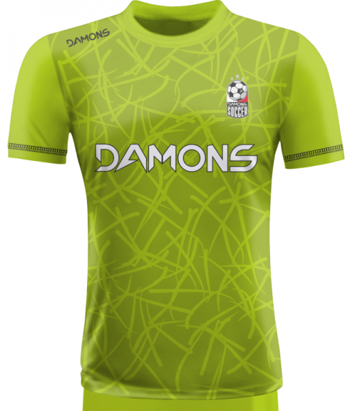 KOSZULKA PIŁKARSKA ALFA P28