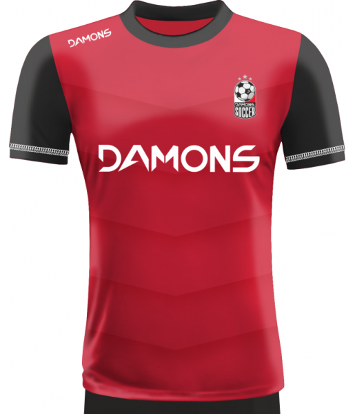 KOSZULKA PIŁKARSKA ALFA P29