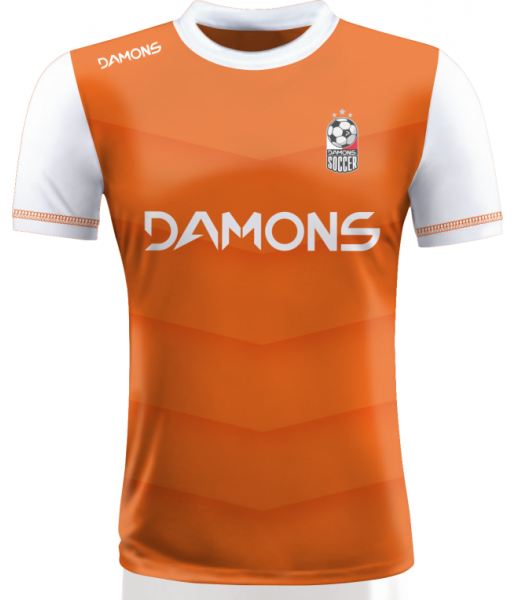 KOSZULKA PIŁKARSKA ALFA P29