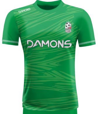 KOSZULKA PIŁKARSKA ALFA P31