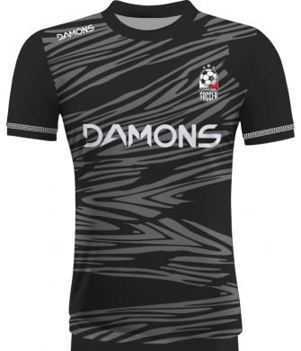 KOSZULKA PIŁKARSKA ALFA P31