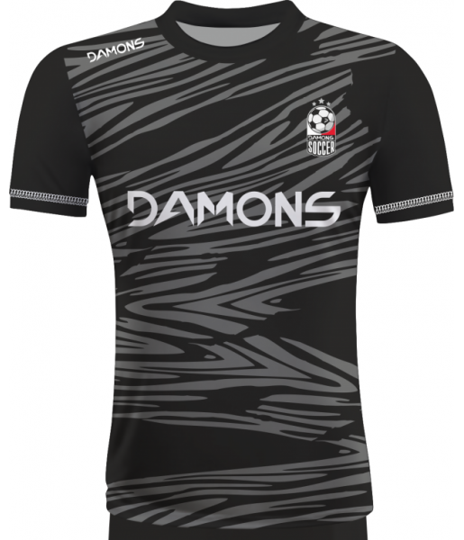 KOSZULKA PIŁKARSKA ALFA P31