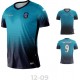 KOSZULKA PIŁKARSKA TIGRA 12