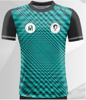 Koszulka Piłkarska Alfa P30